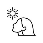 sun damaged skin icon