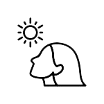 Sun damaged skin condition